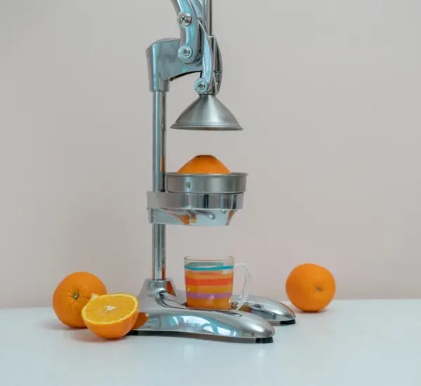 Manual press citrus juicer