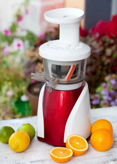 Masticating or slow juicer