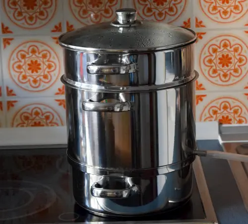 Steam juicer