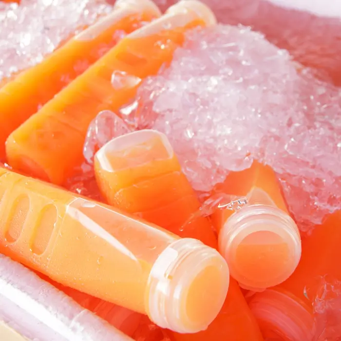 Fruit Juice in Freeze